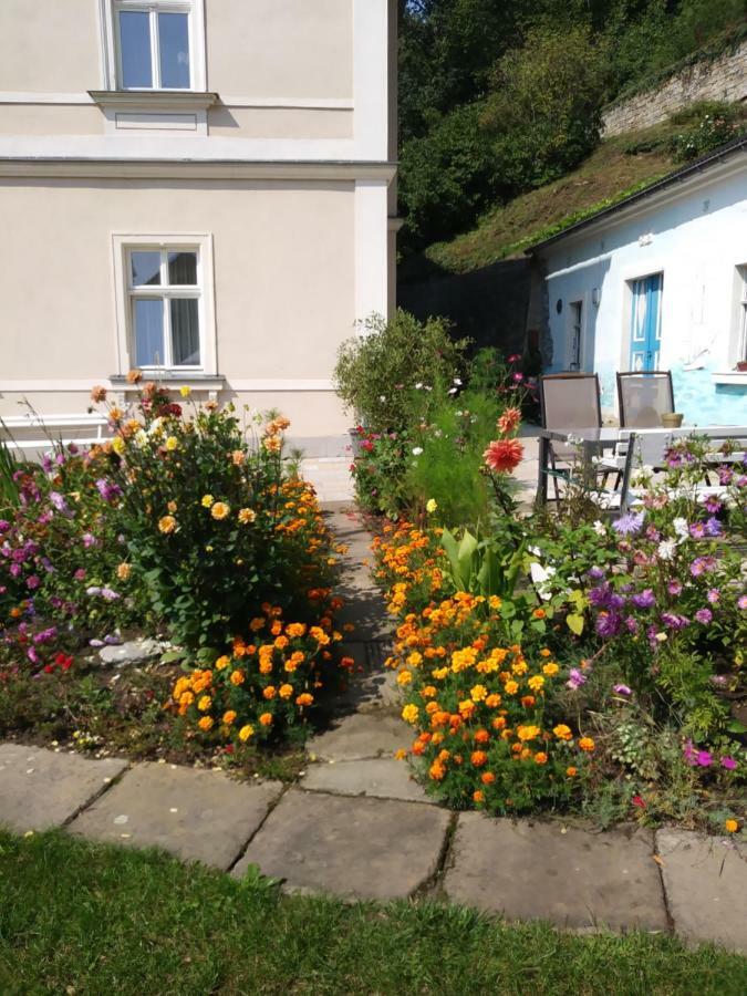 Ferienwohnungen Wilhelm Bad Schandau Exteriér fotografie