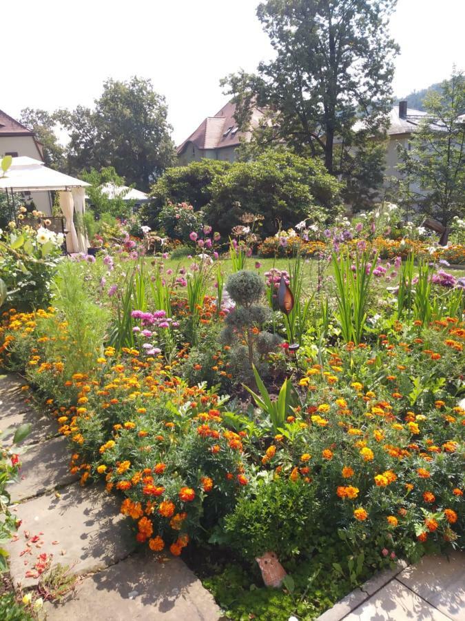 Ferienwohnungen Wilhelm Bad Schandau Exteriér fotografie